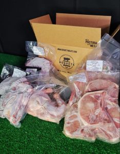 WhatsApp Image 2023-08-17 at 5.51.31 PM